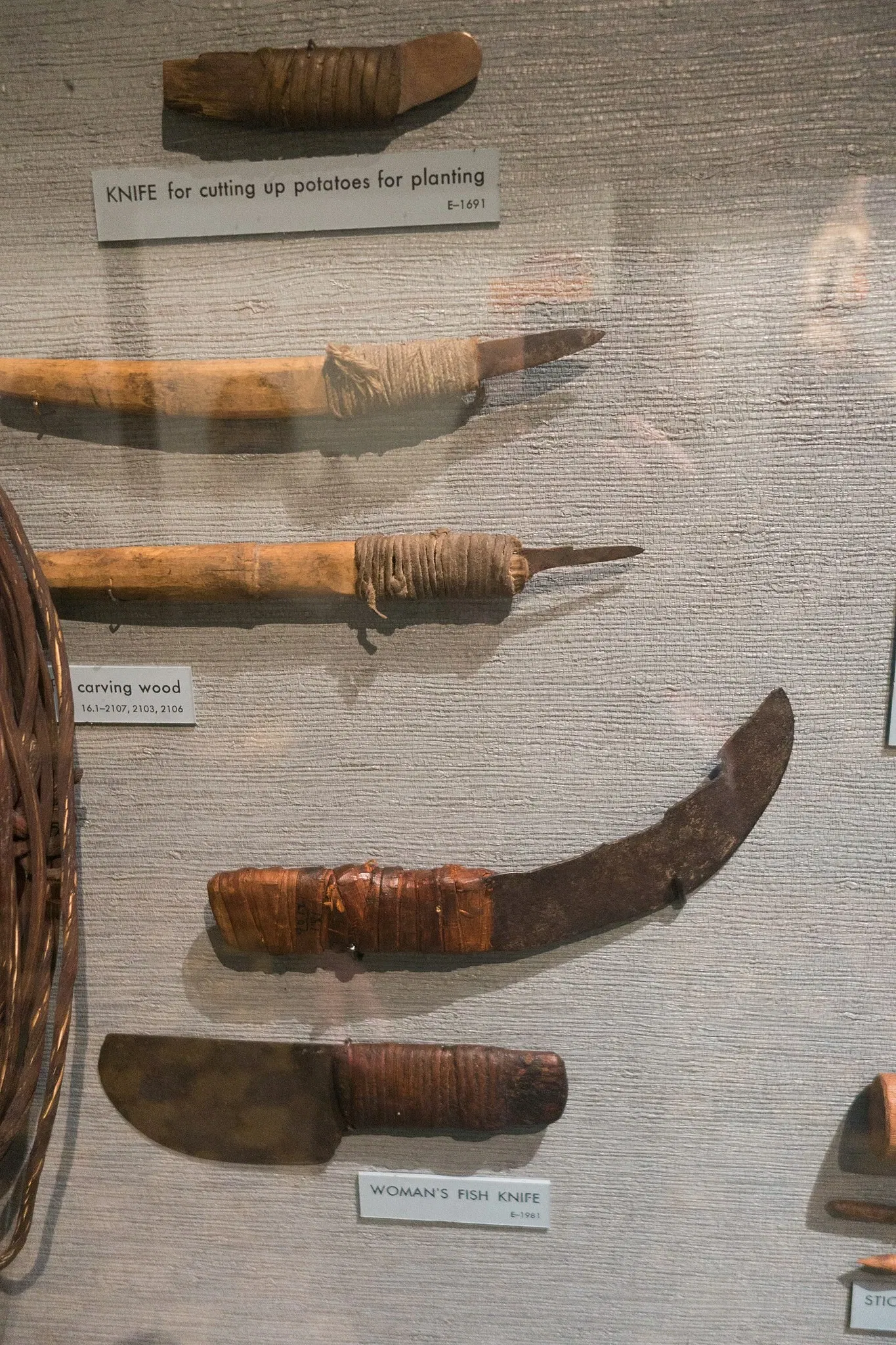 Museo Americano de Historia Natural