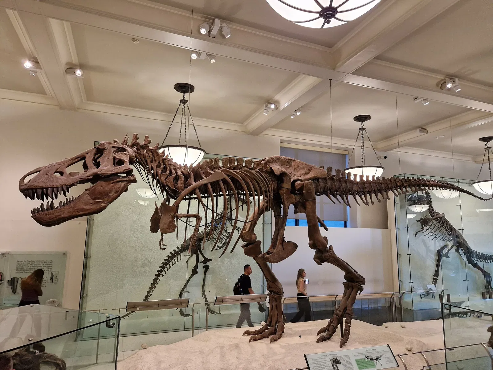 American Museum of Natural History