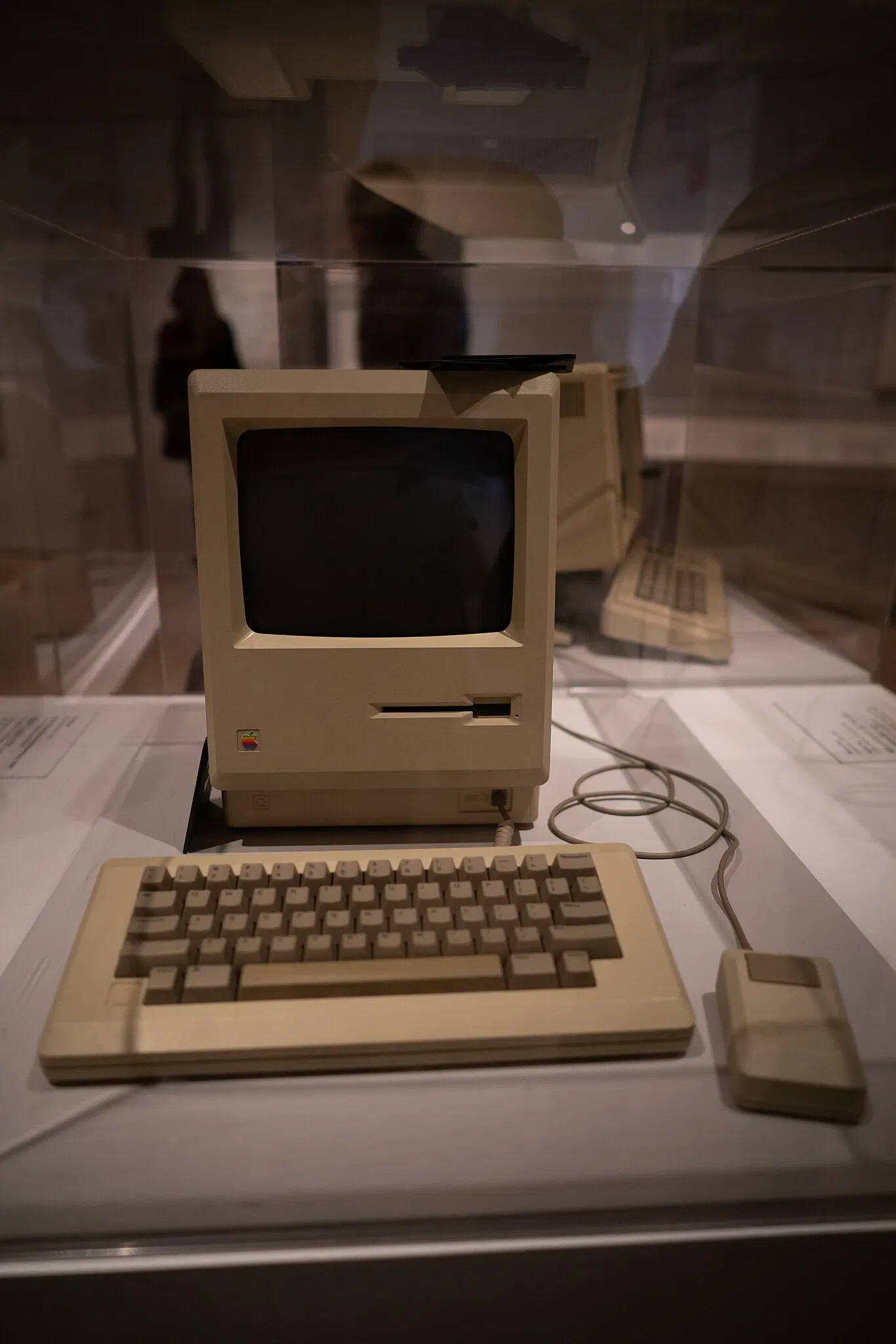 Museum of Modern Art