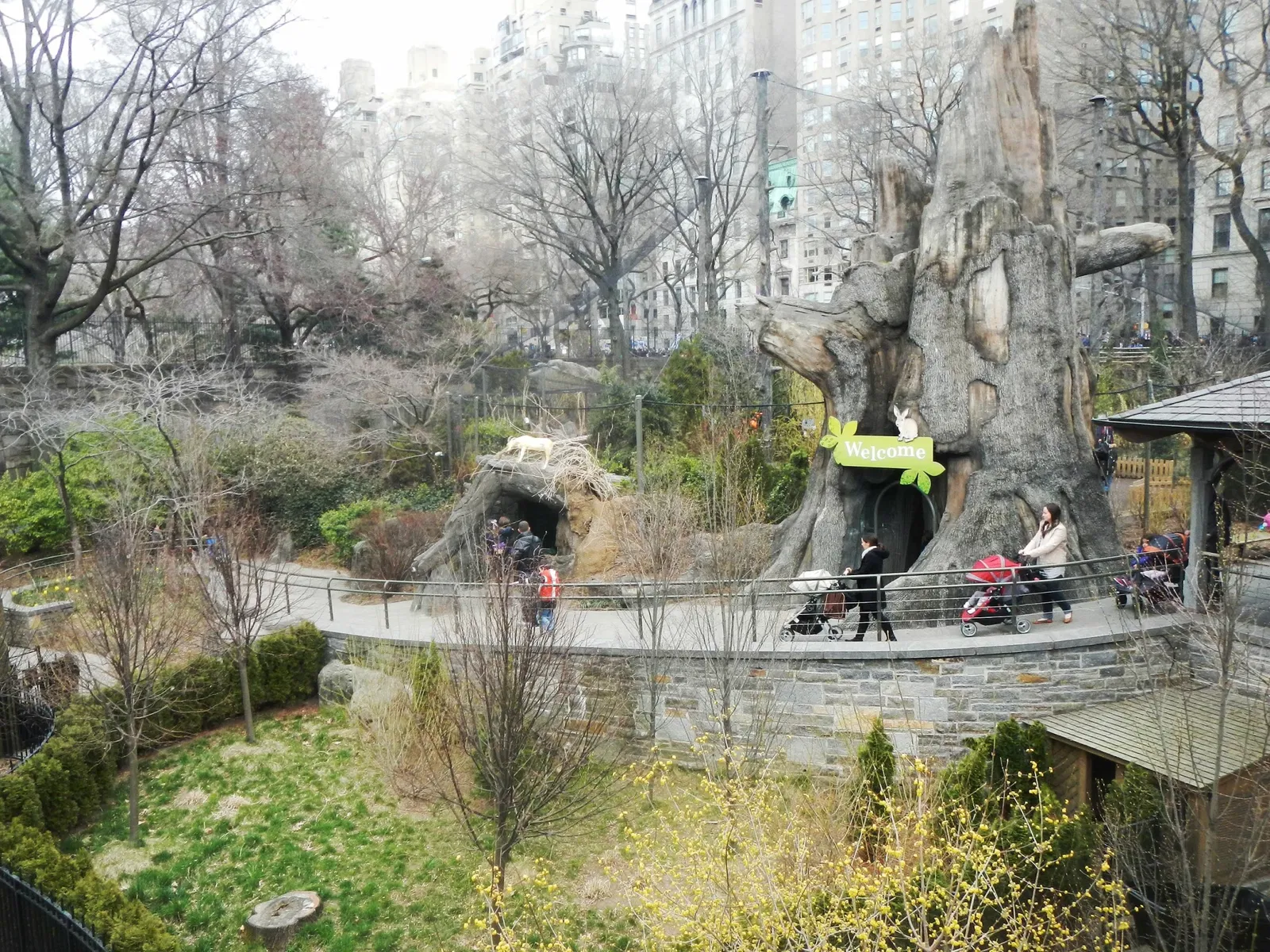 Zoo di Central Park