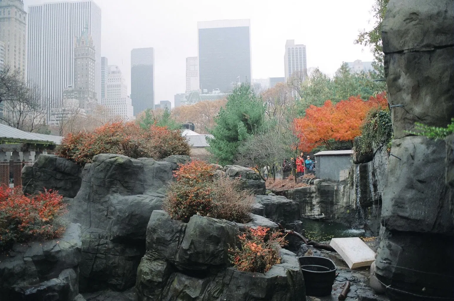 Zoo de Central Park