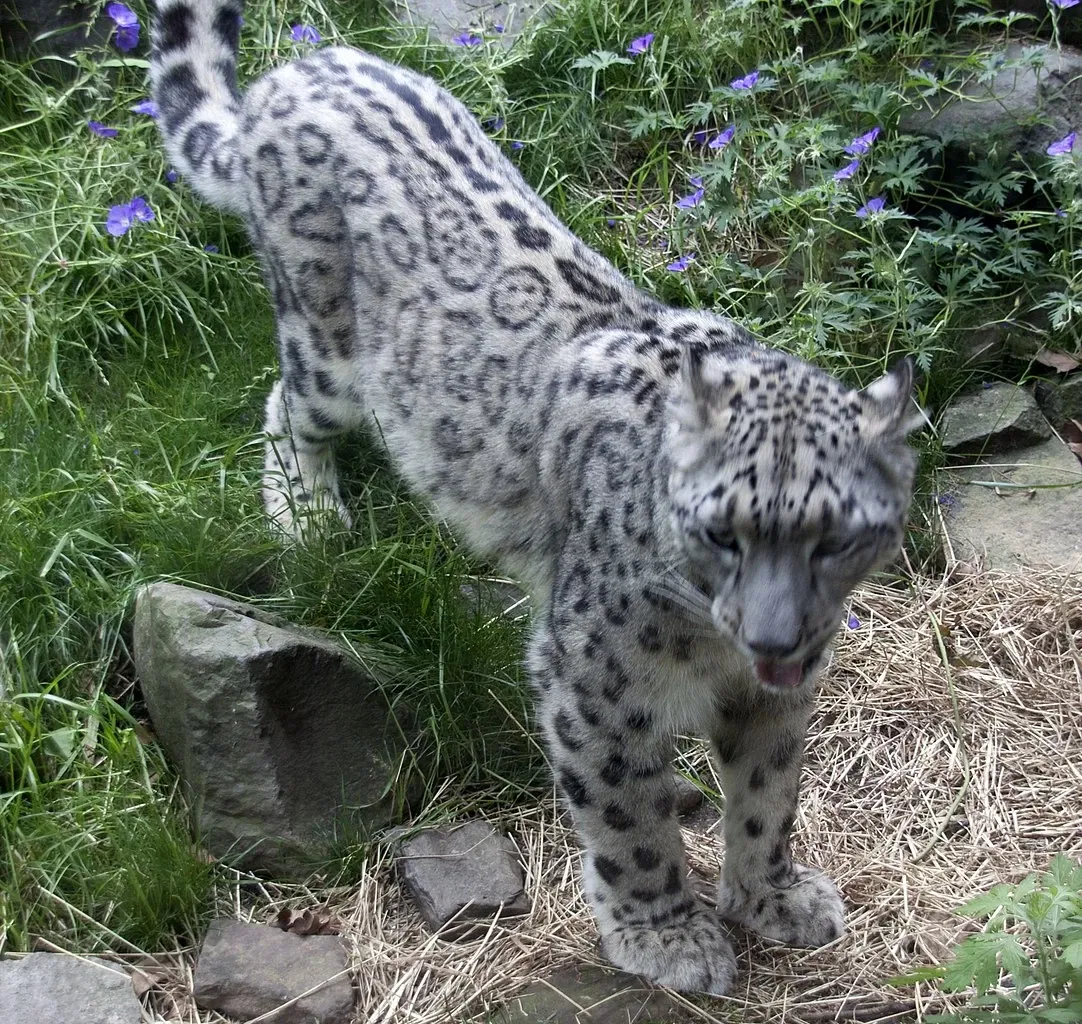 Zoológico de Central Park