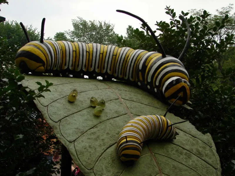 Zoológico del Bronx