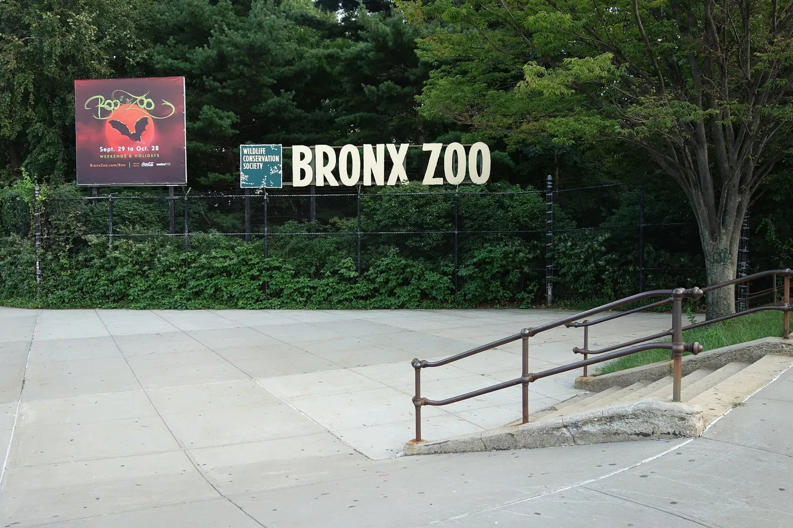 Zoo del Bronx