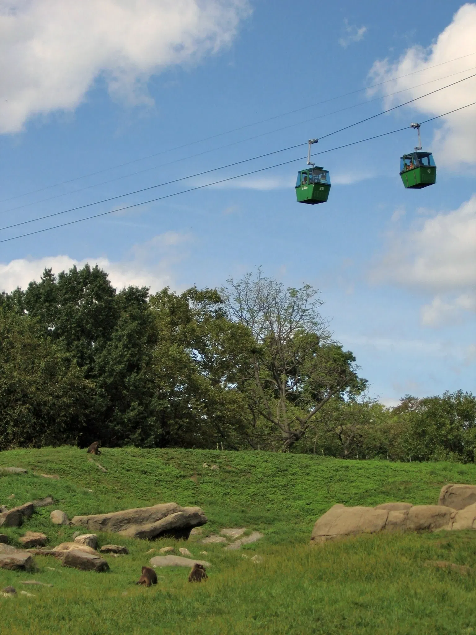 Zoológico del Bronx