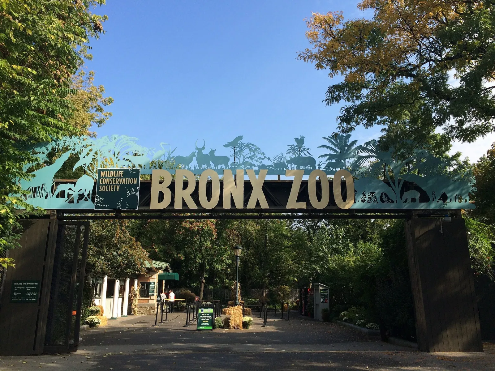 Zoo del Bronx