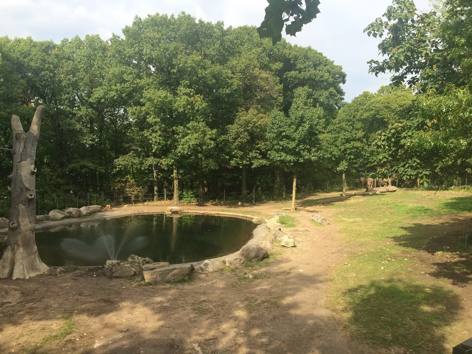 Zoológico del Bronx