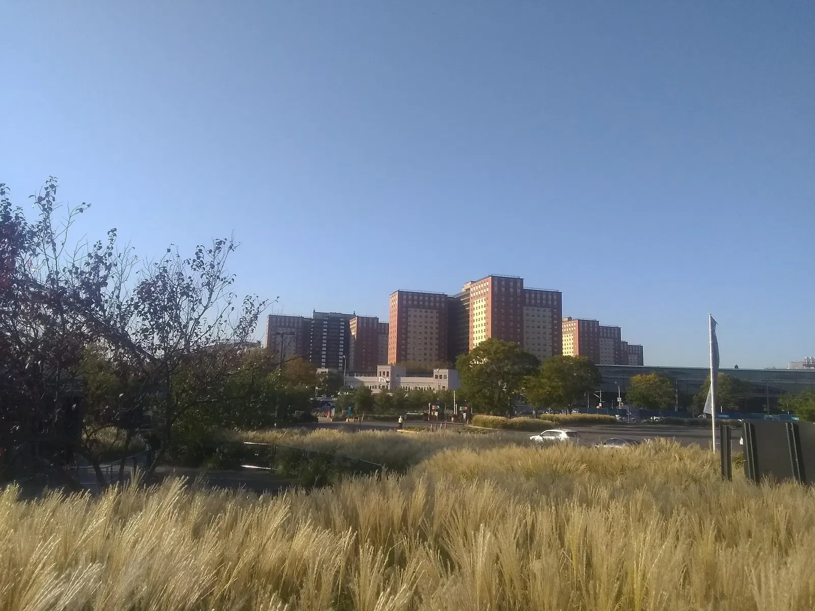 Aquarium de New York