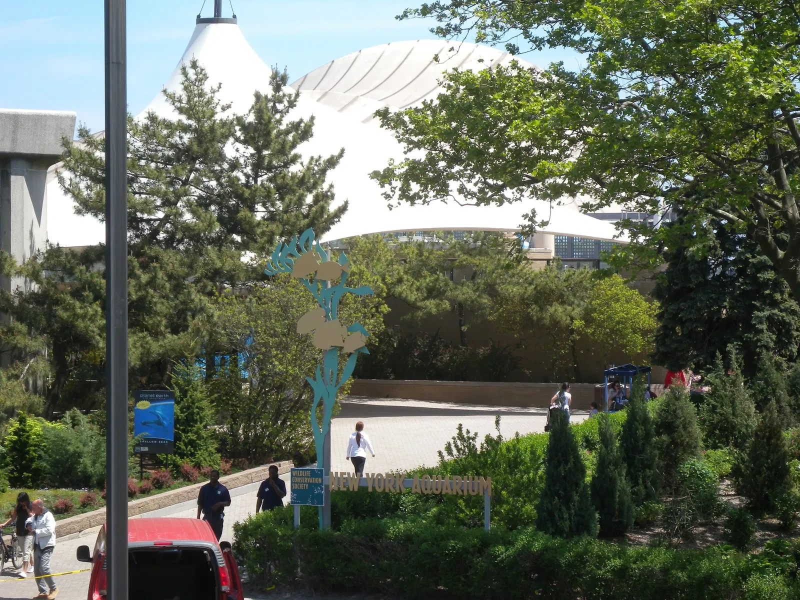 Acquario di New York