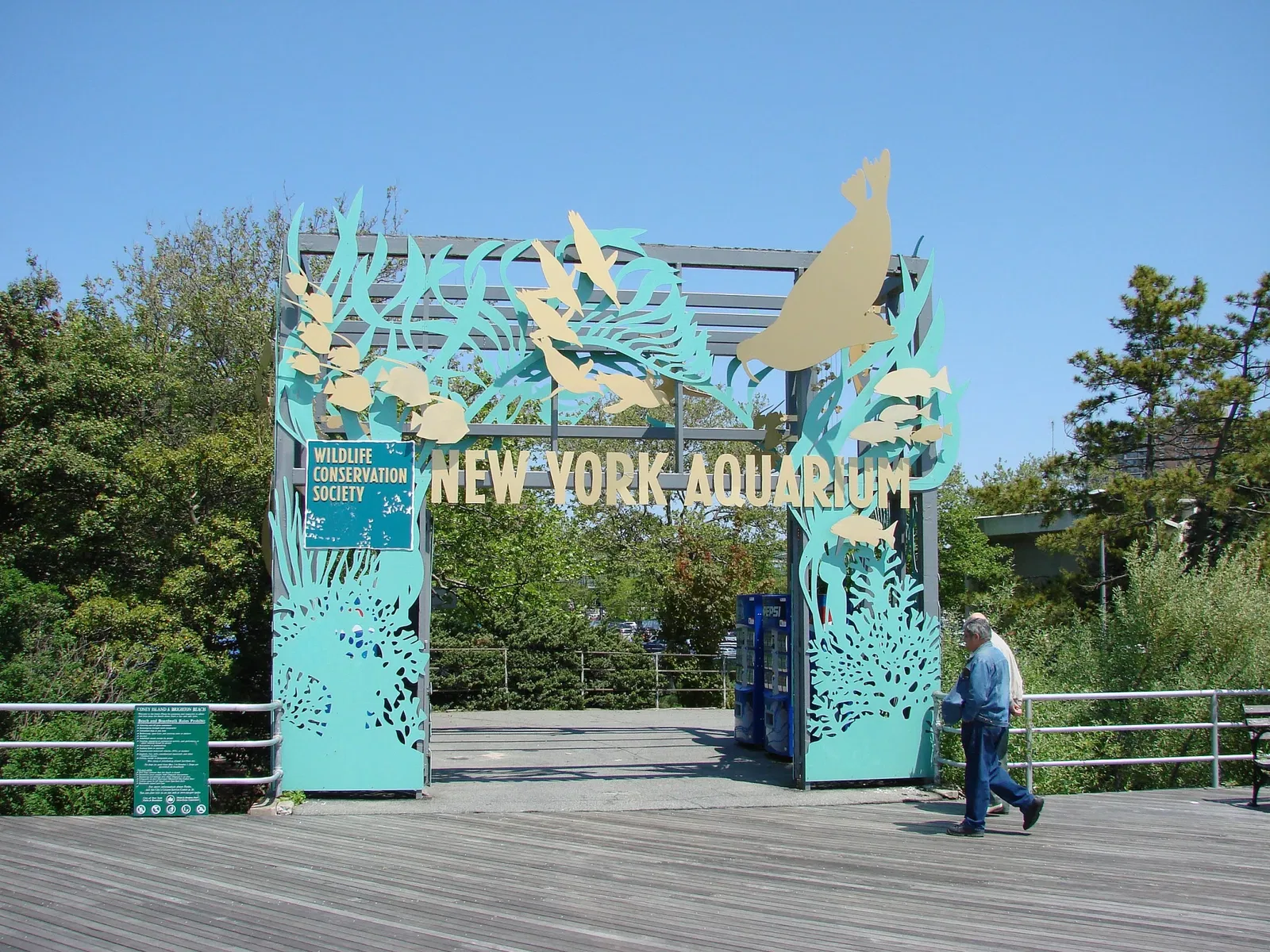 Acquario di New York