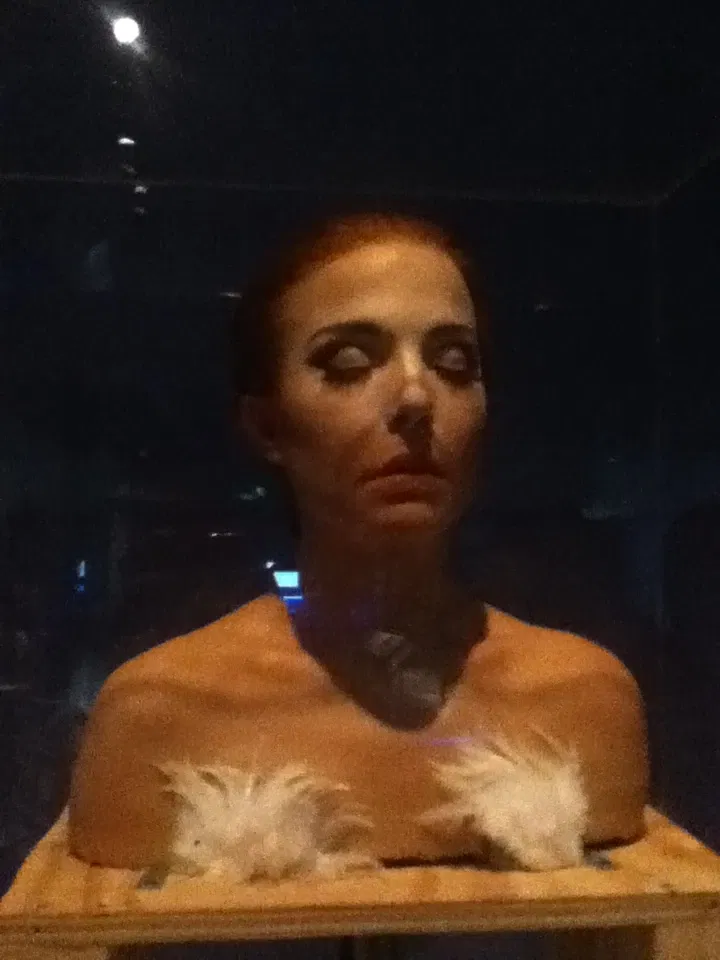 Museum of the Moving Image