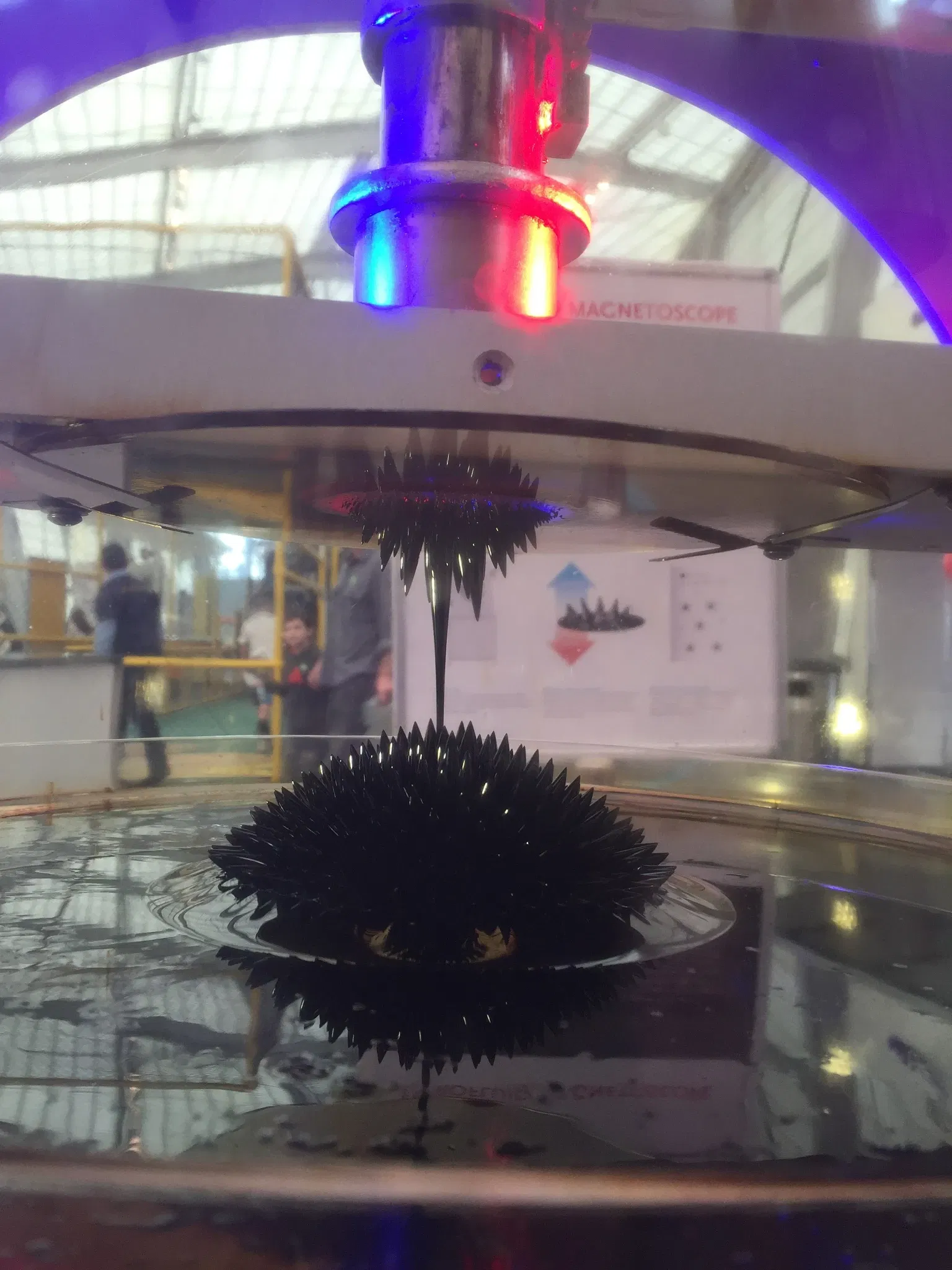 New York Hall of Science