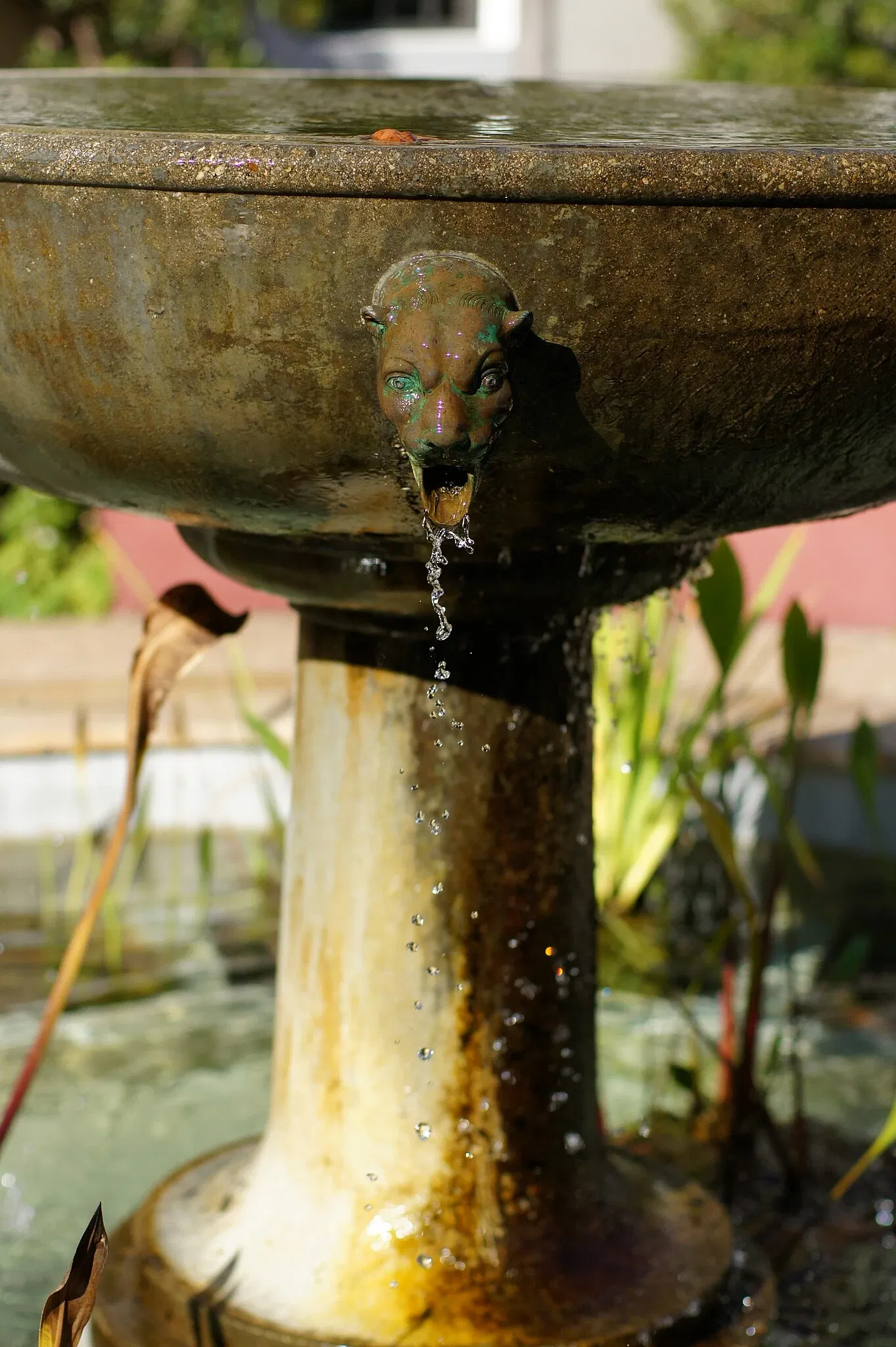 The Getty Villa Museum