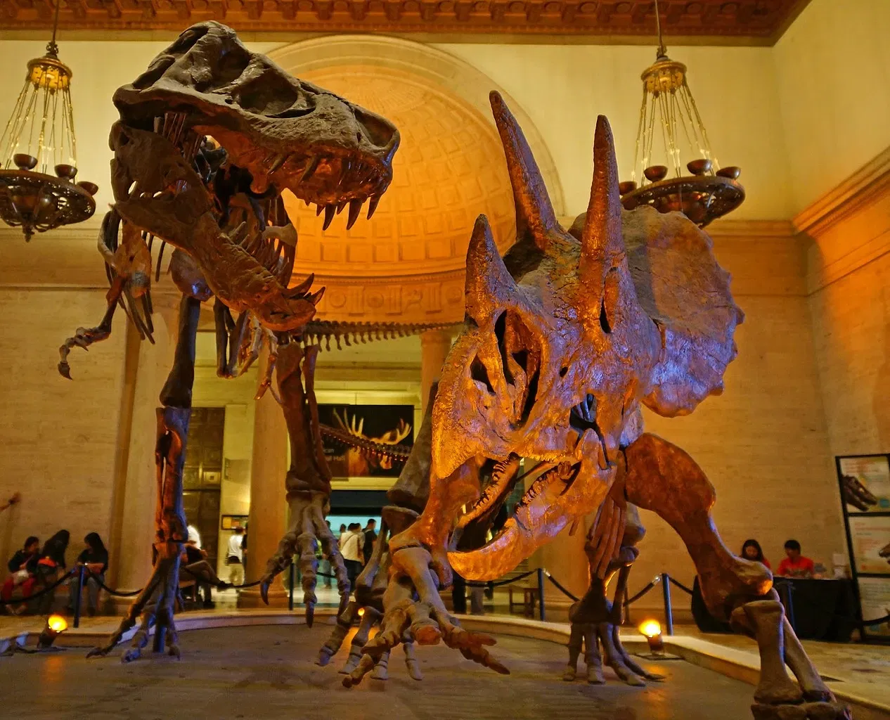 Museo de Historia Natural del Condado de Los Ángeles