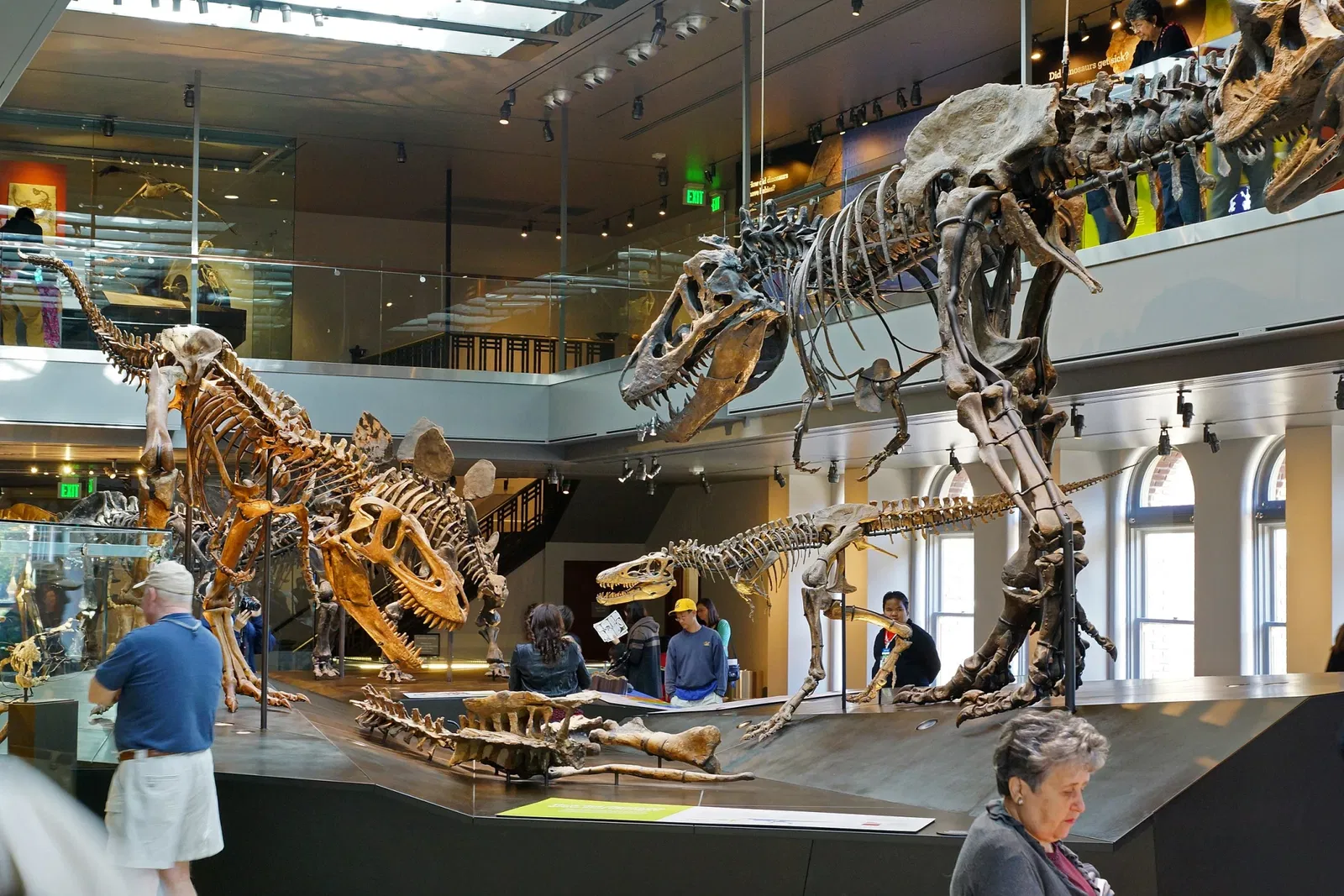 Musée d'histoire naturelle du comté de Los Angeles