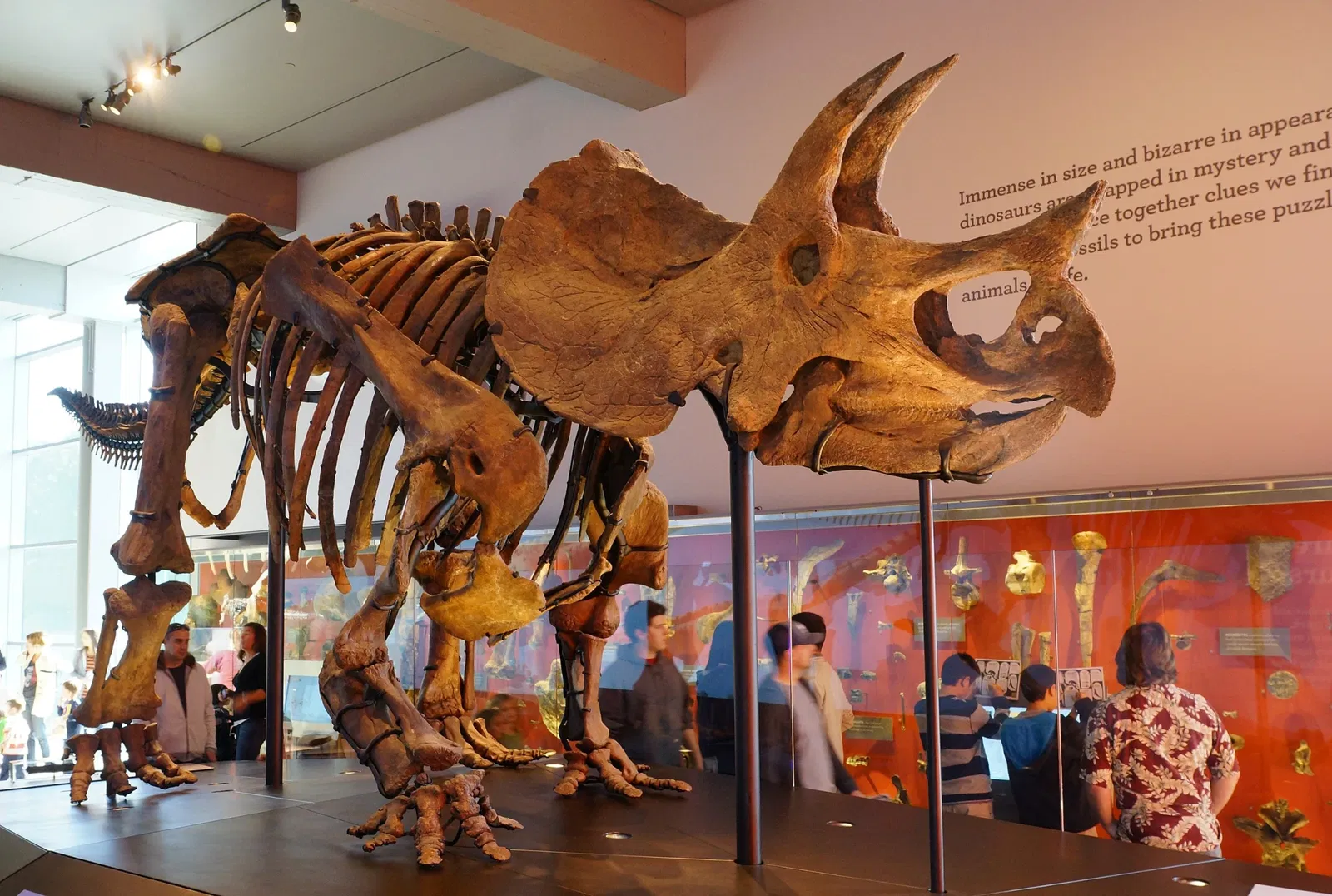 Museo de Historia Natural del Condado de Los Ángeles