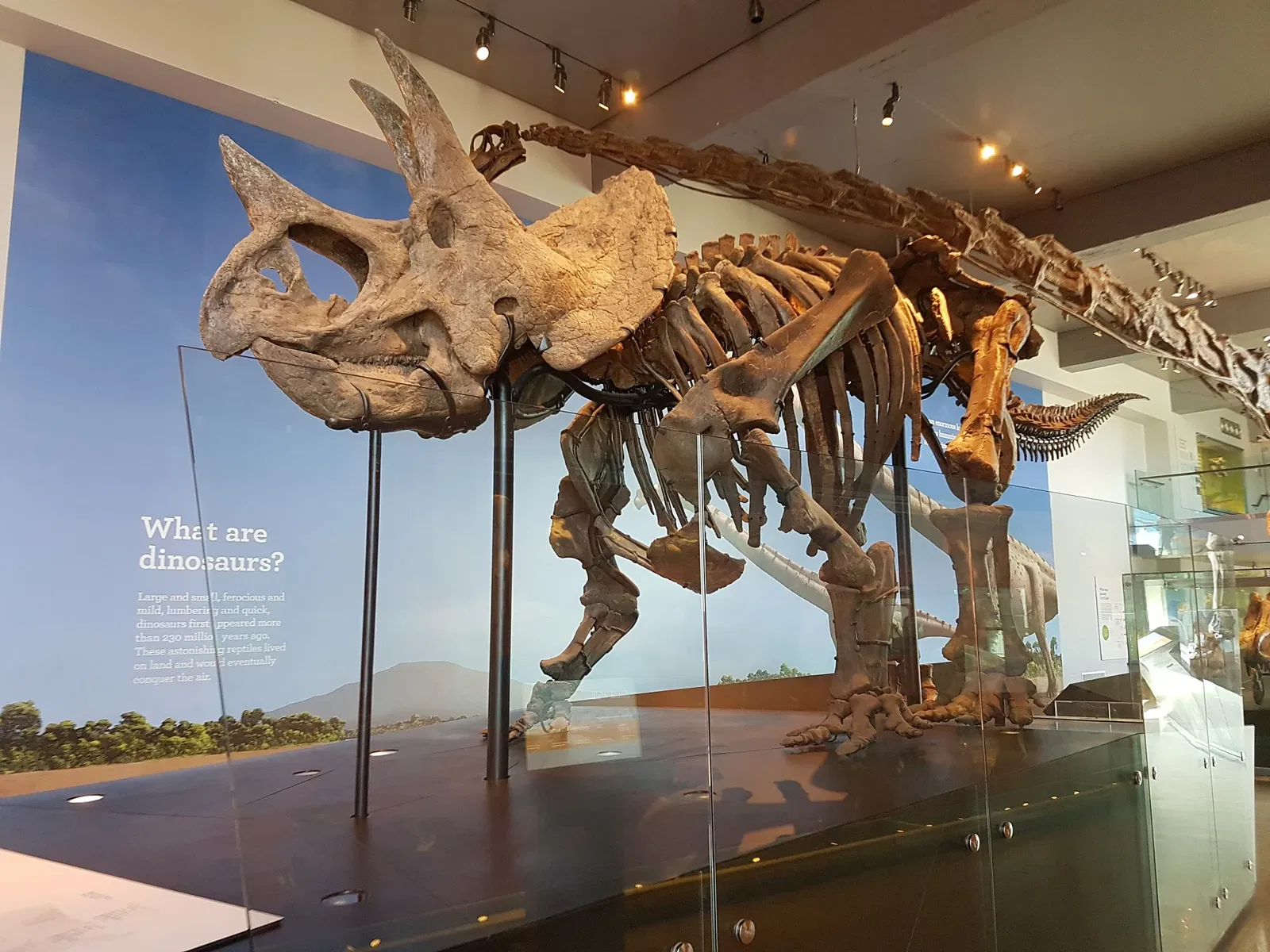 Musée d'histoire naturelle du comté de Los Angeles