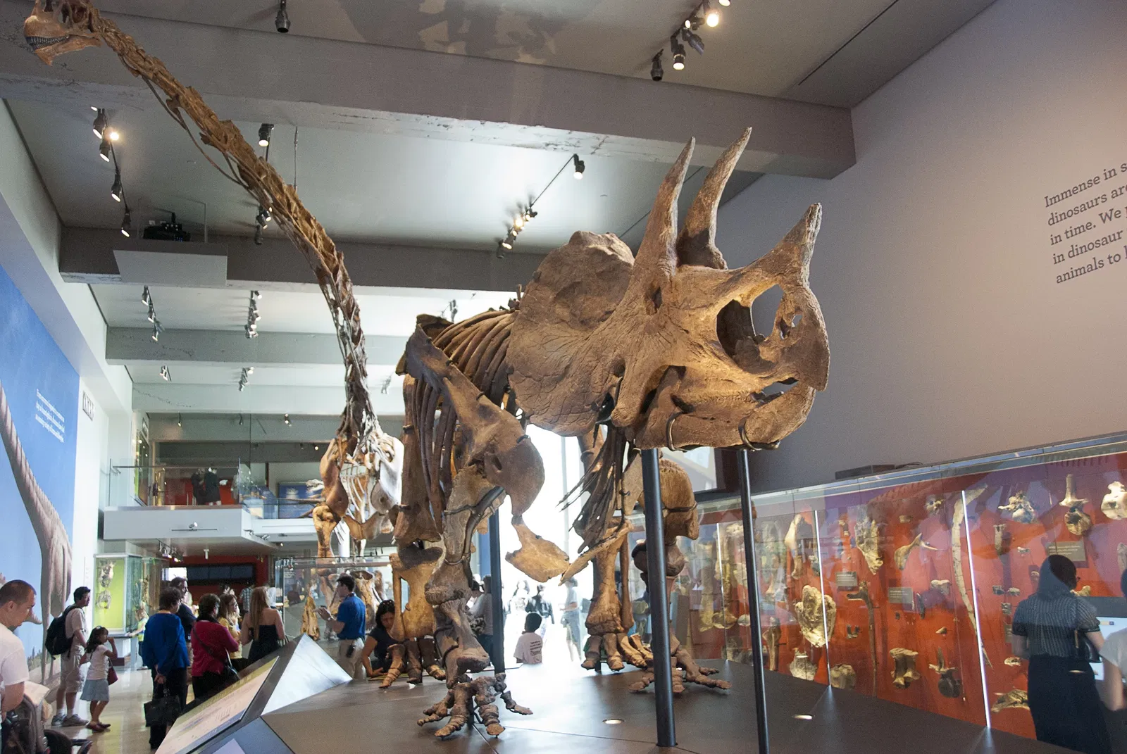 Musée d'histoire naturelle du comté de Los Angeles