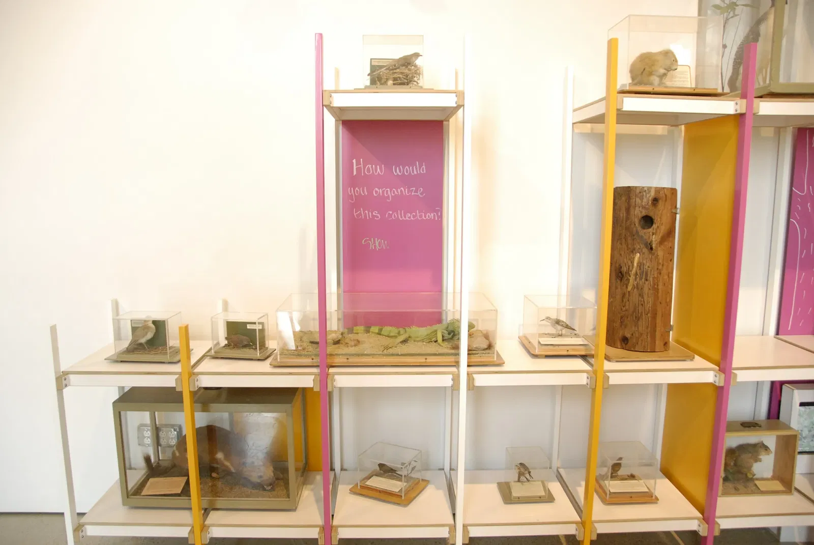 Museo de Historia Natural del Condado de Los Ángeles