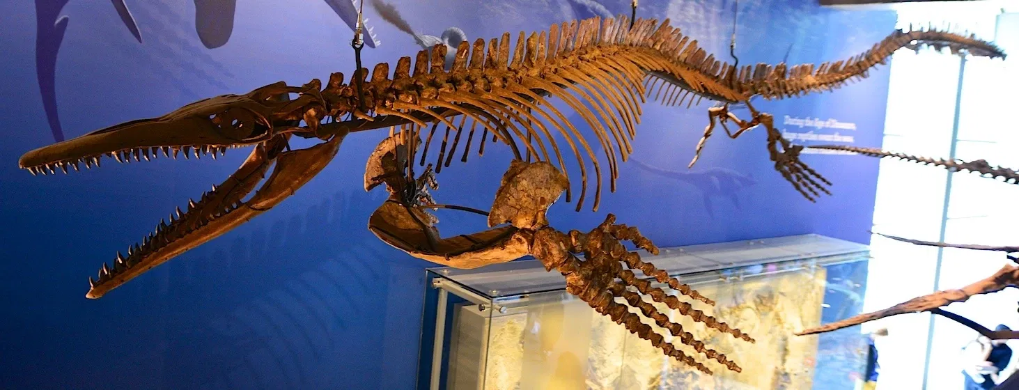 Museo de Historia Natural del Condado de Los Ángeles