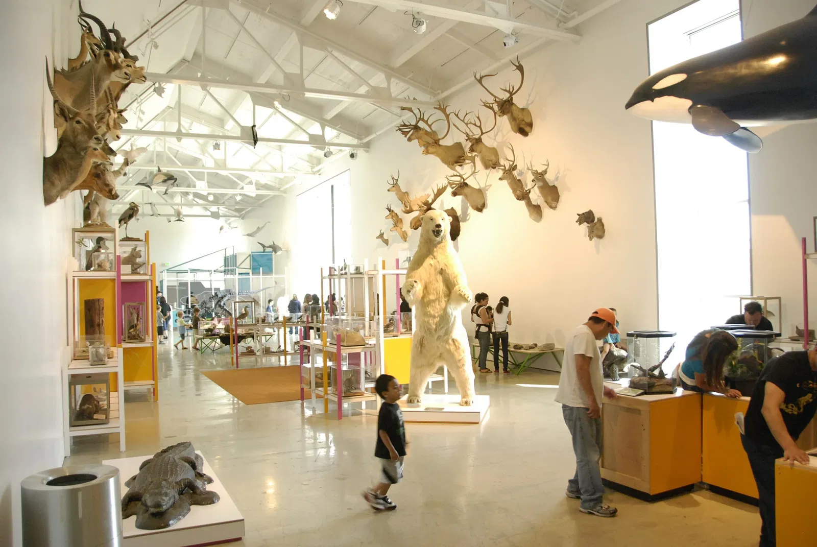 Museo de Historia Natural del Condado de Los Ángeles