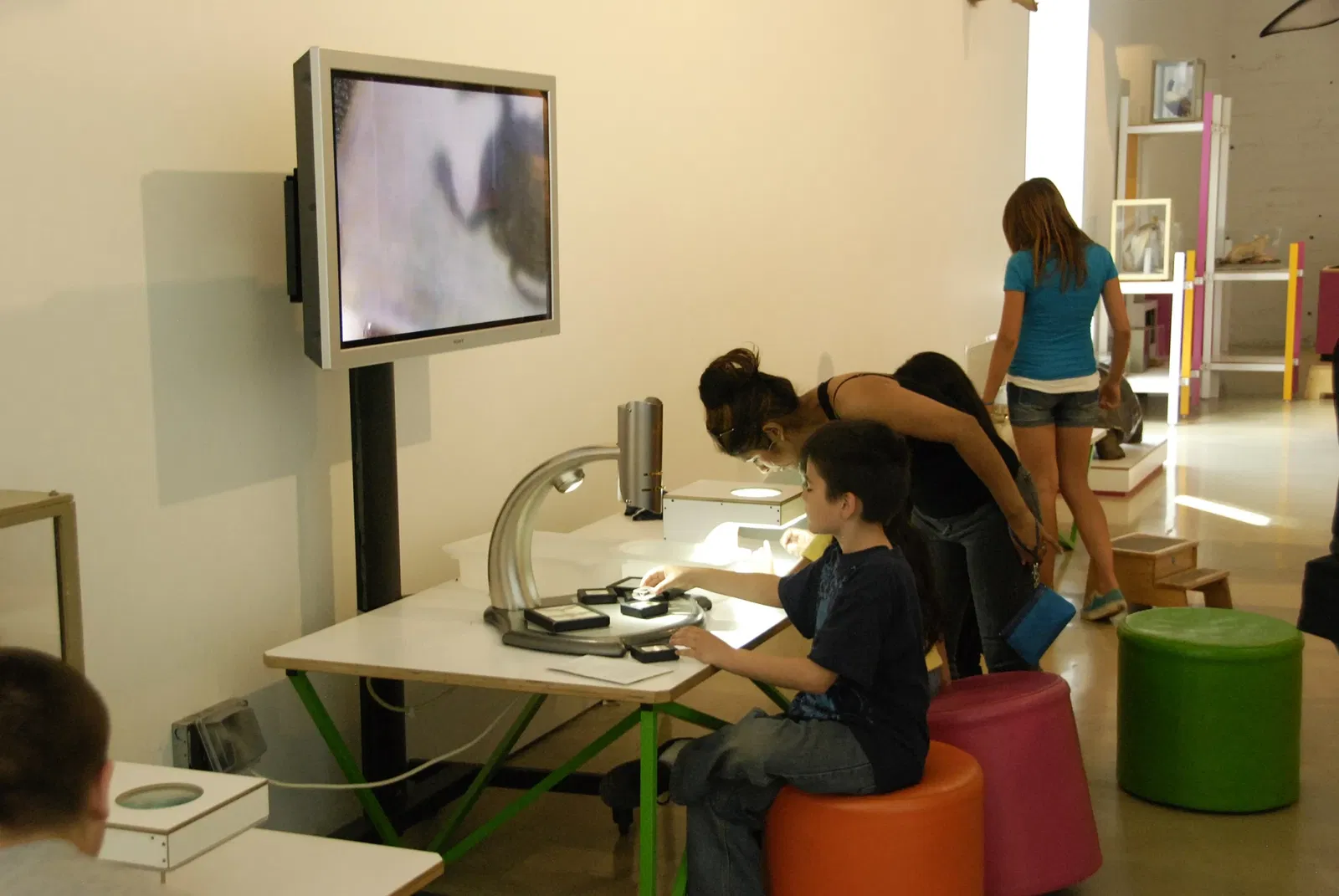 Museo de Historia Natural del Condado de Los Ángeles