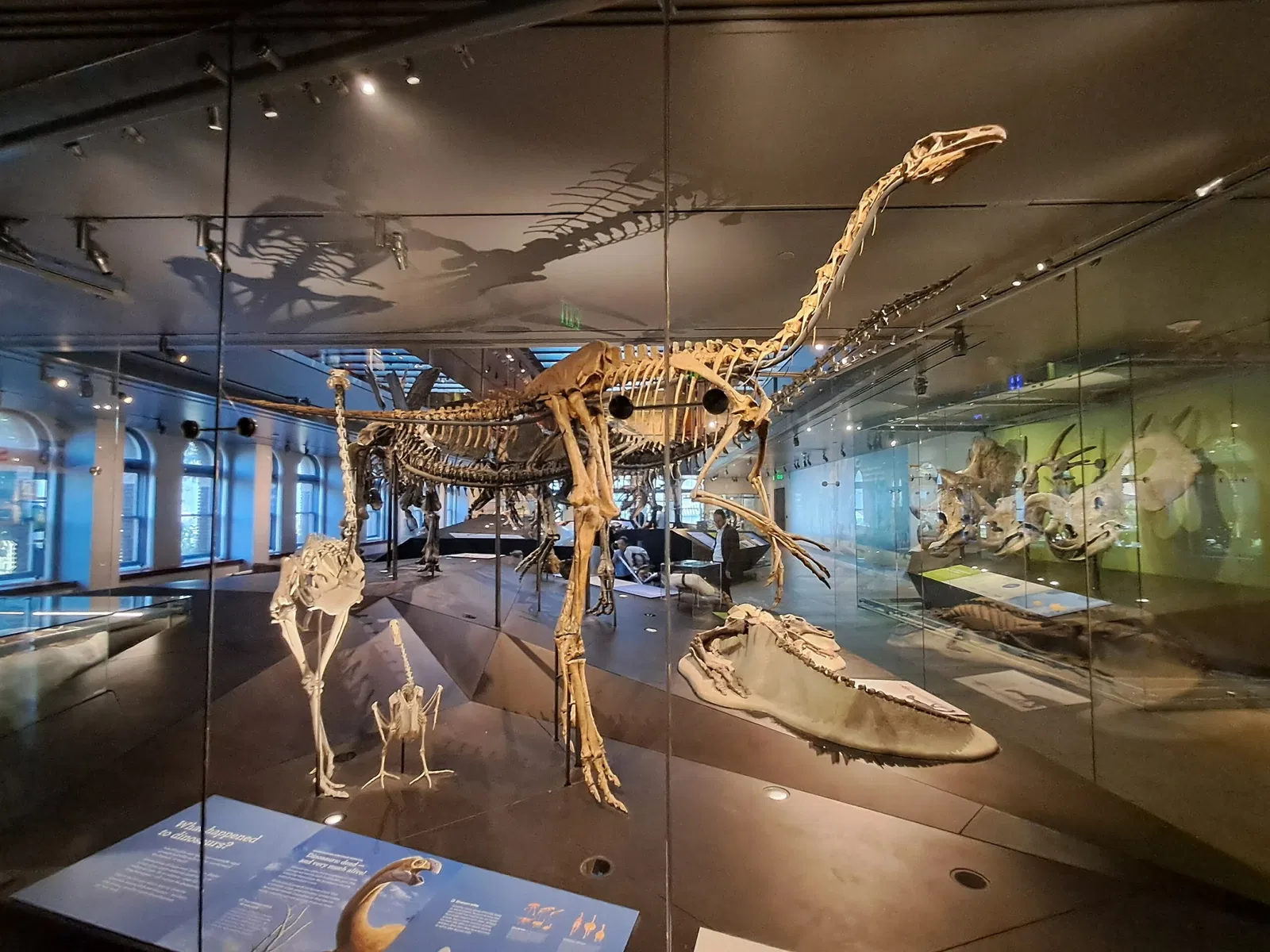 Museo de Historia Natural del Condado de Los Ángeles