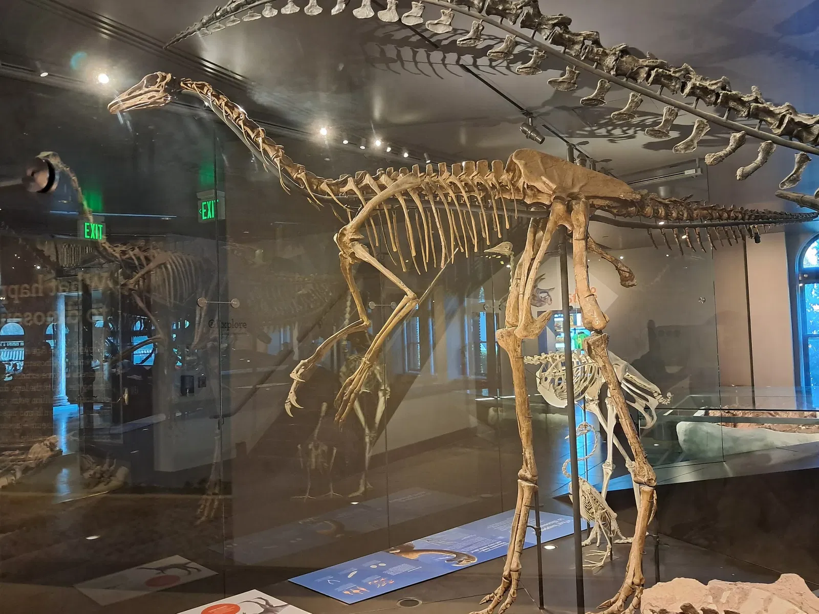 Natural History Museum of Los Angeles County