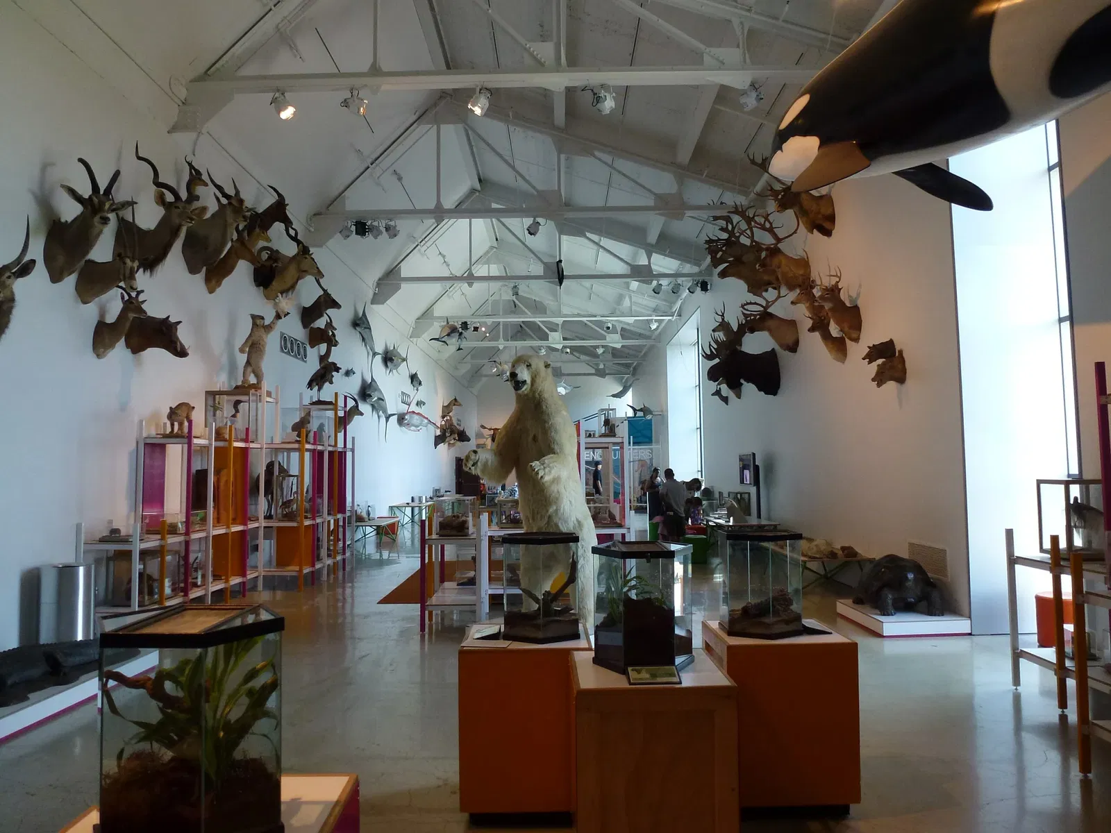 Musée d'histoire naturelle du comté de Los Angeles