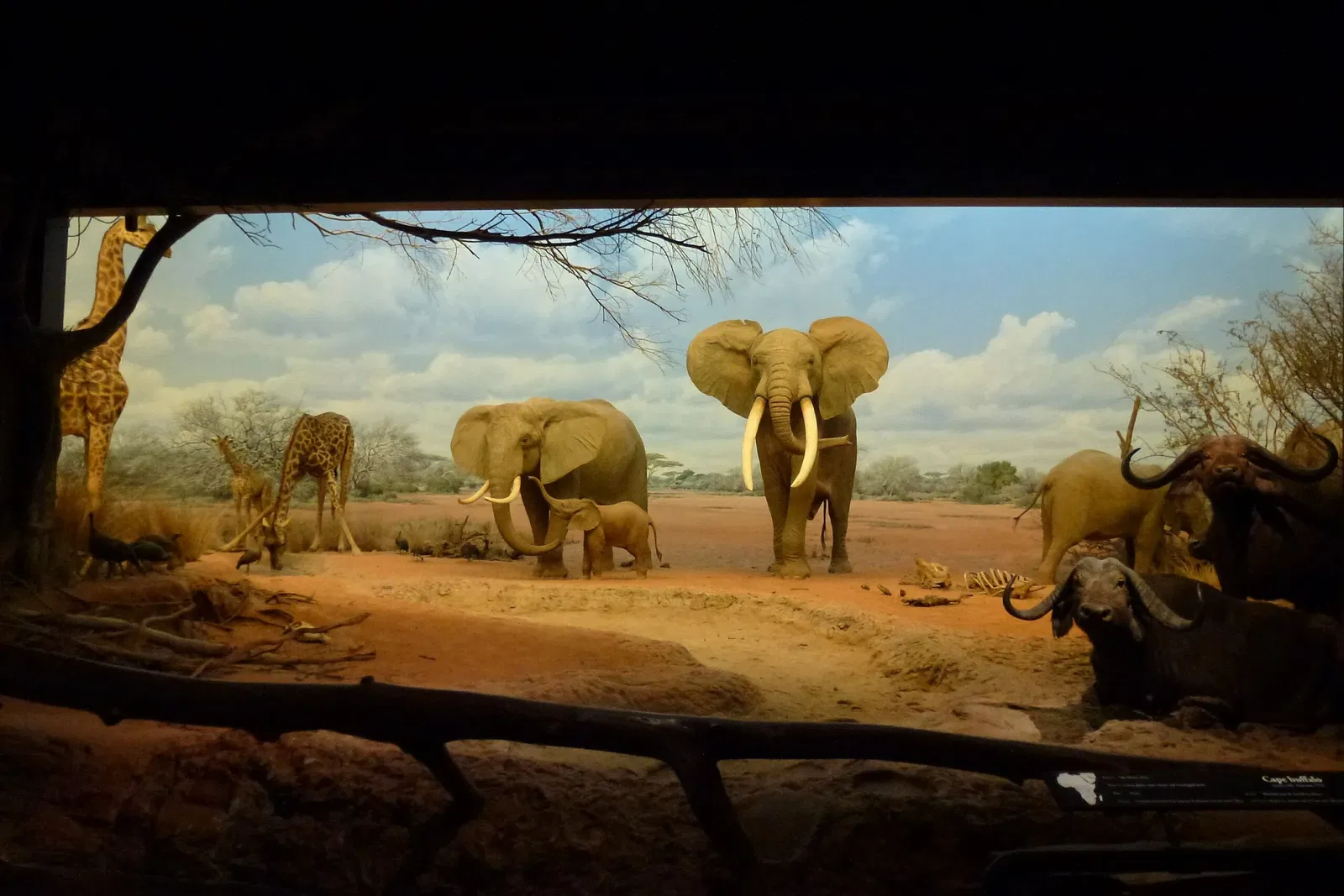 Natural History Museum of Los Angeles County