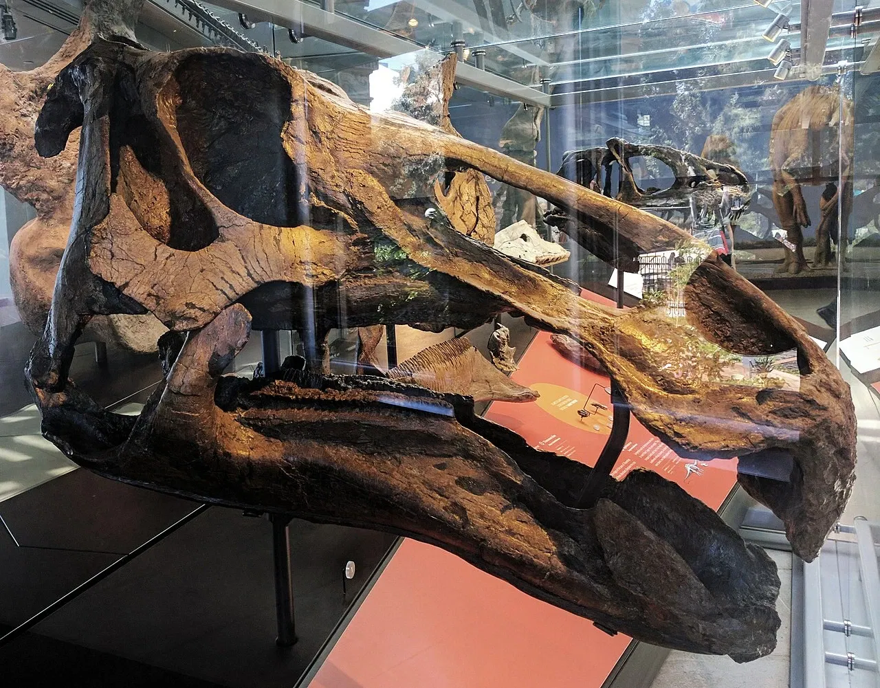 Natural History Museum of Los Angeles County