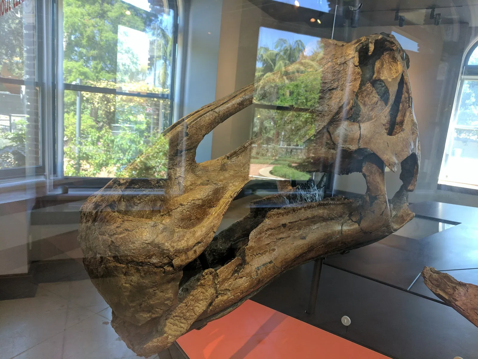 Natural History Museum of Los Angeles County