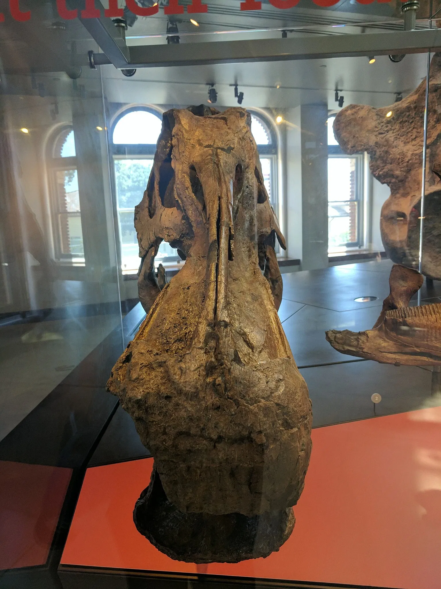 Museo de Historia Natural del Condado de Los Ángeles