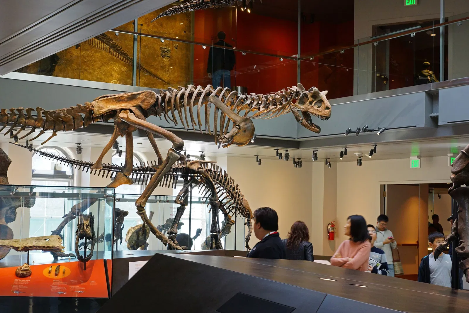 Natural History Museum of Los Angeles County