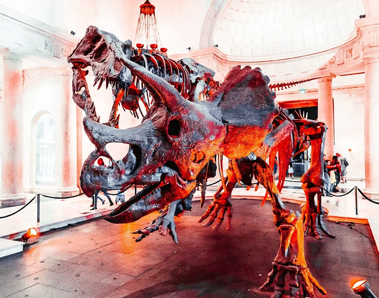 Musée d'histoire naturelle du comté de Los Angeles