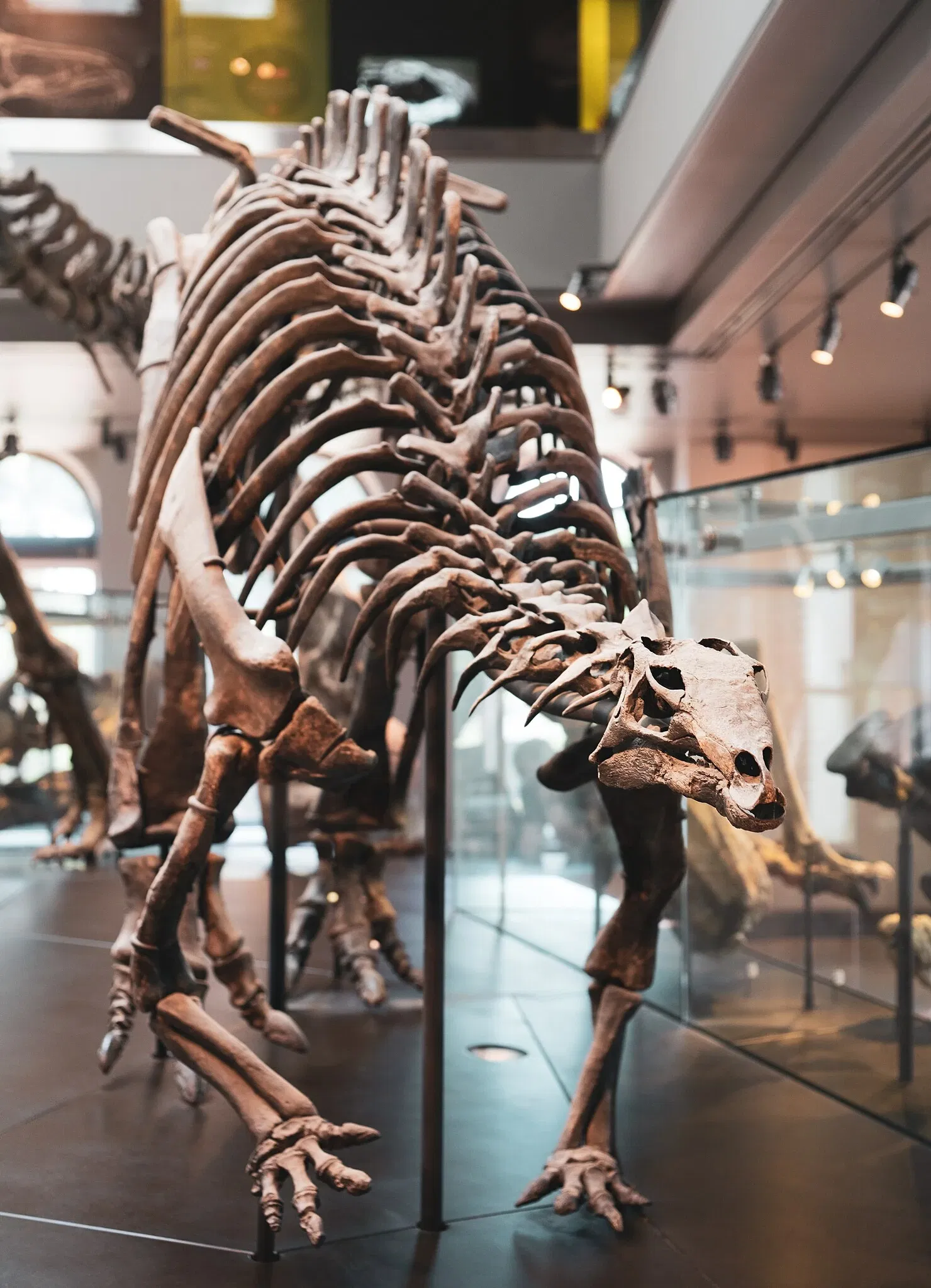 Musée d'histoire naturelle du comté de Los Angeles
