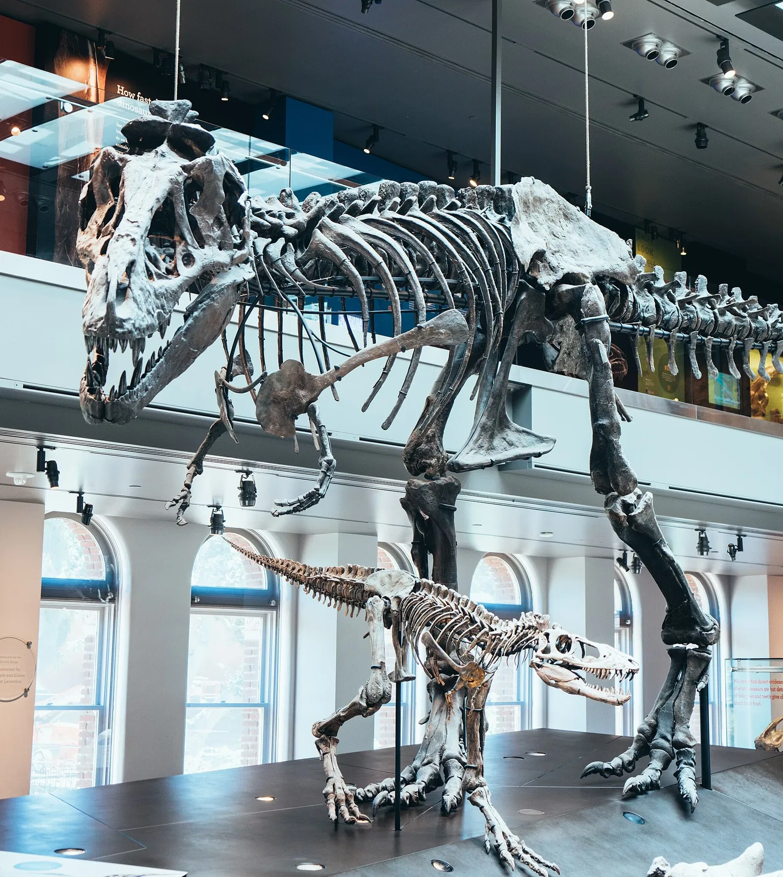 Museo de Historia Natural del Condado de Los Ángeles