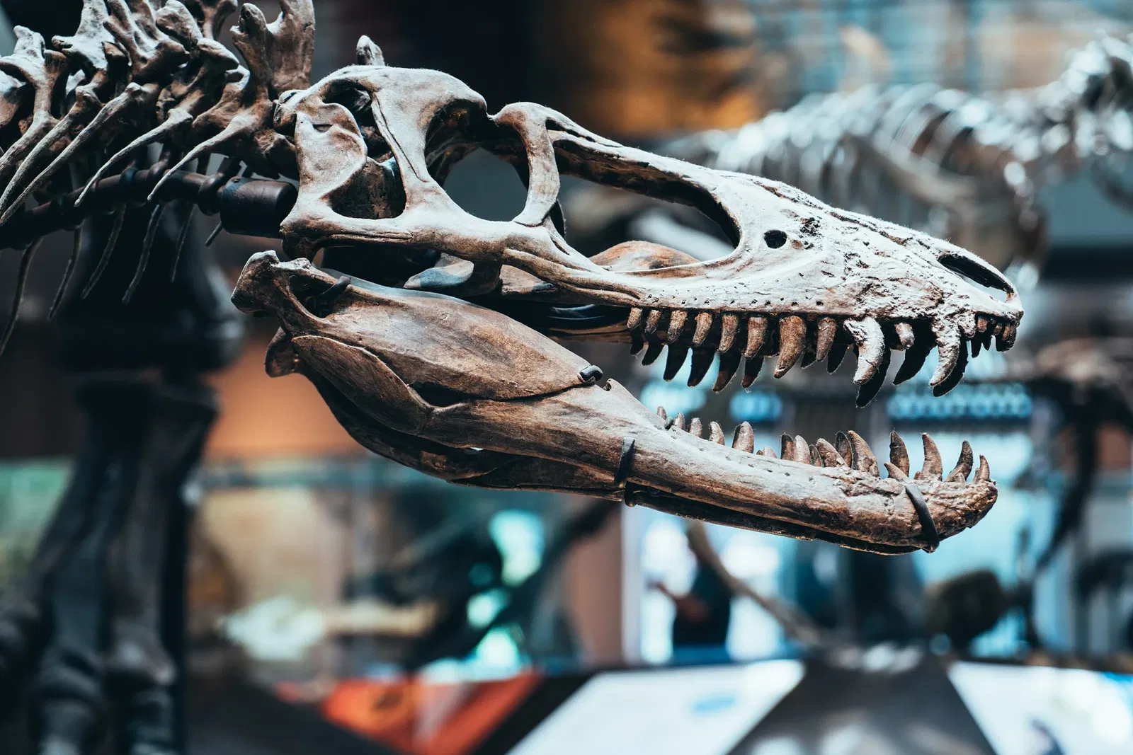 Natural History Museum of Los Angeles County