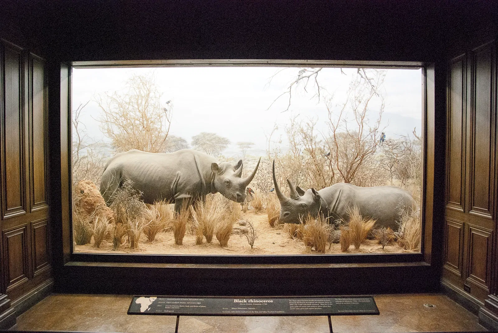 Natural History Museum of Los Angeles County