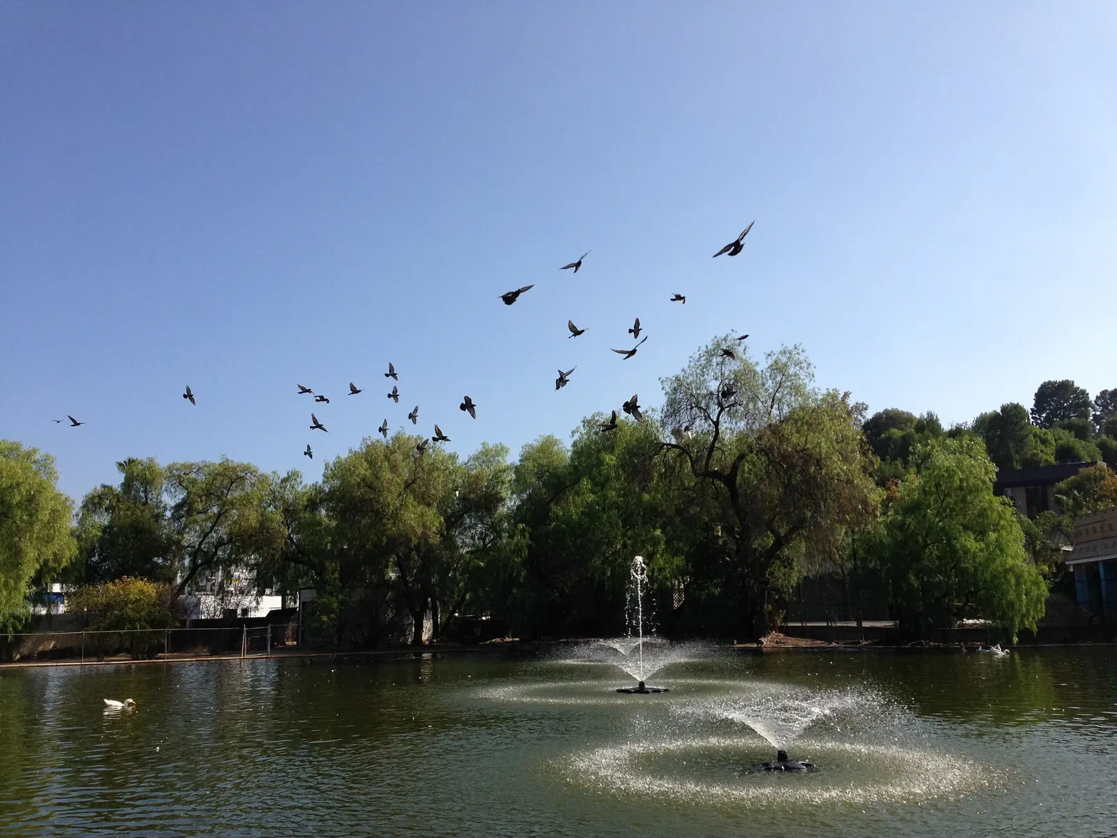 Los Encinos State Historic Park