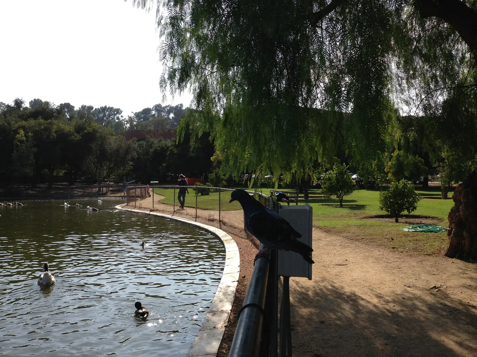 Los Encinos State Historic Park