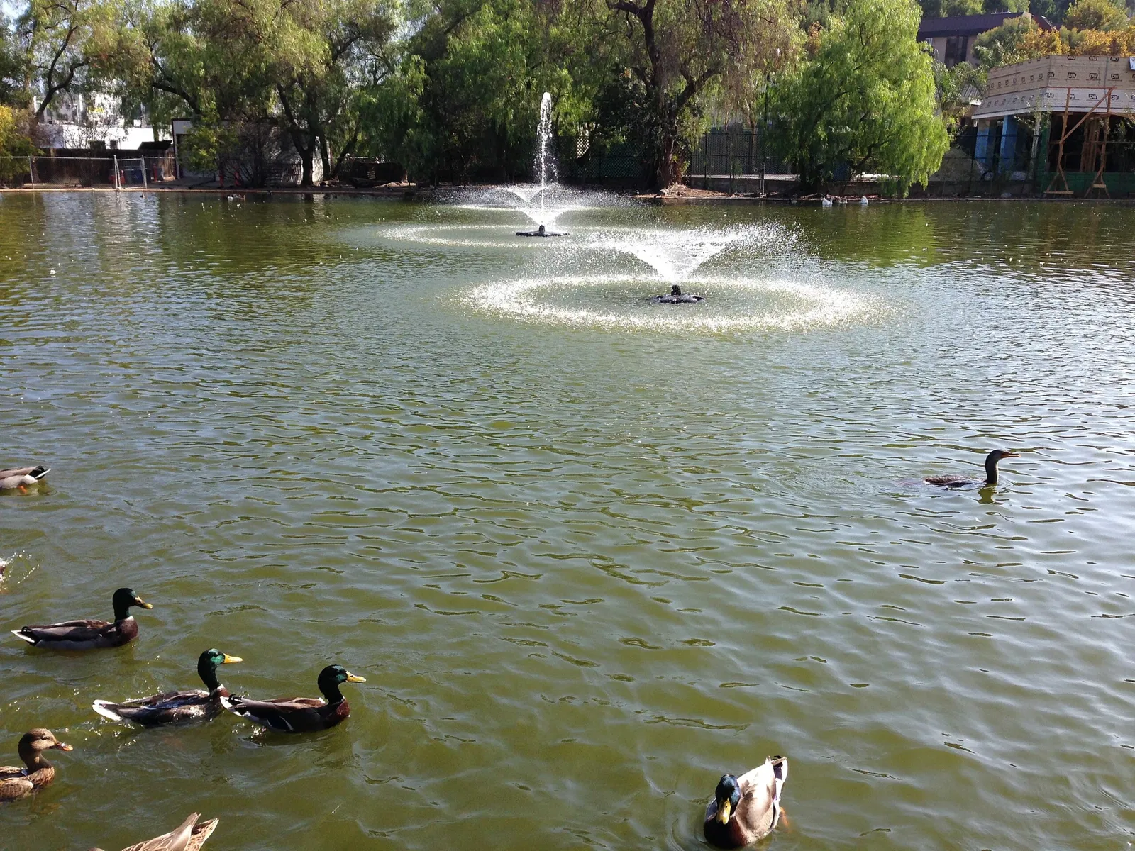 Los Encinos State Historic Park