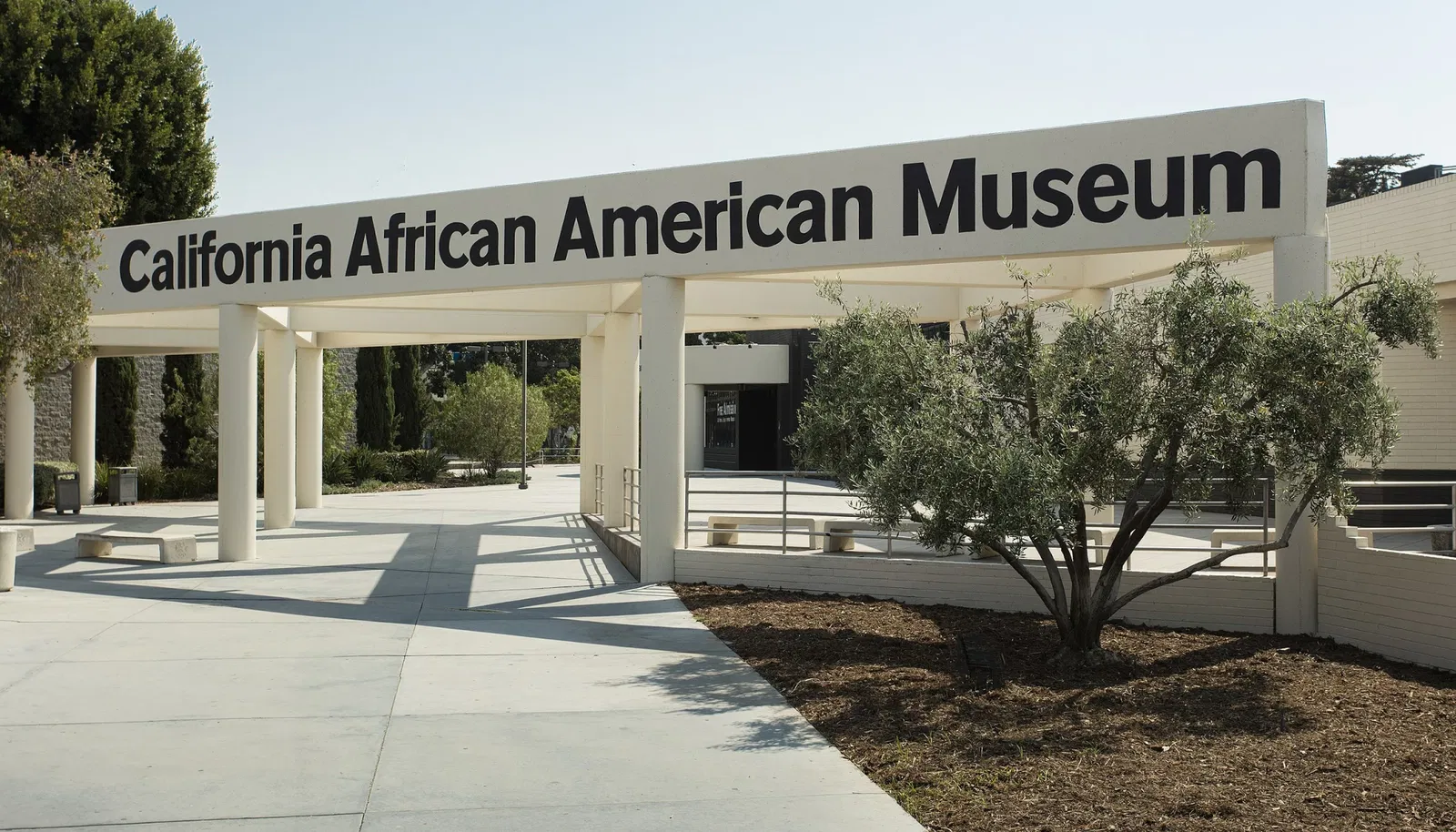 California African American Museum