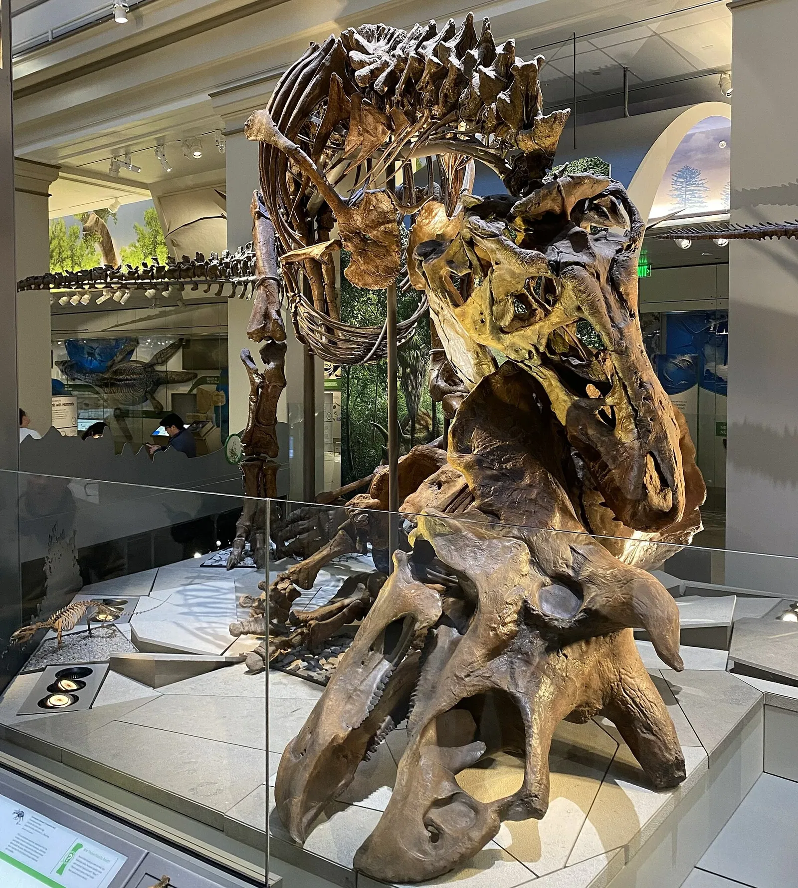 National Museum of Natural History