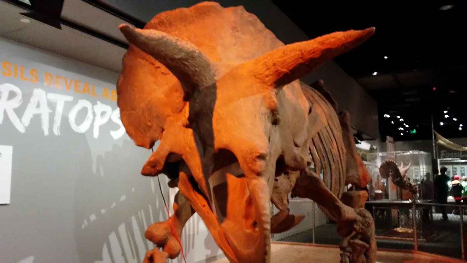 Musée national d'histoire naturelle des États-Unis