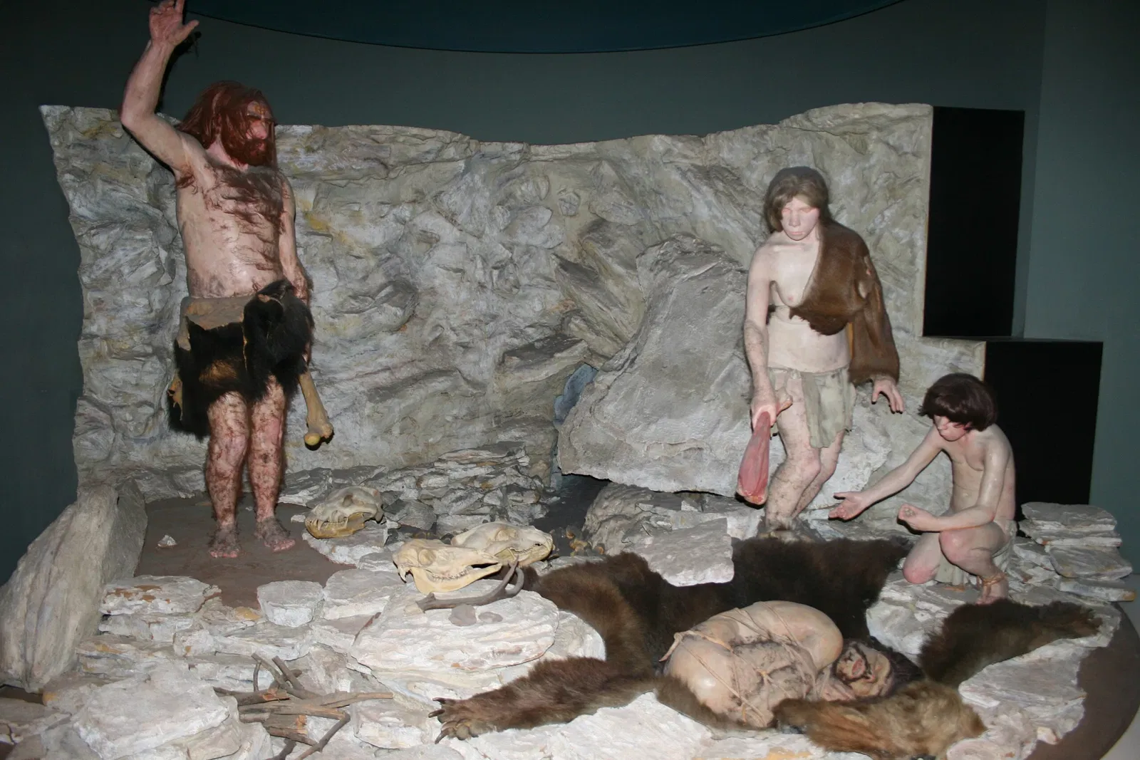 Musée national d'histoire naturelle des États-Unis