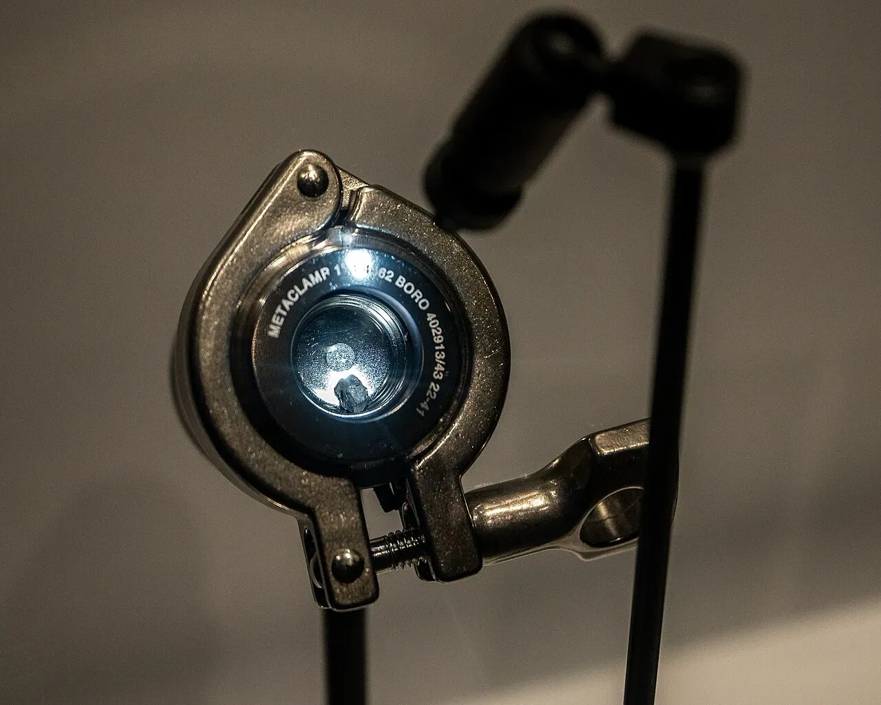 Musée national d'histoire naturelle des États-Unis