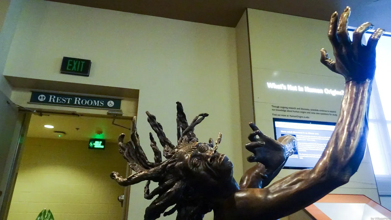 Musée national d'histoire naturelle des États-Unis