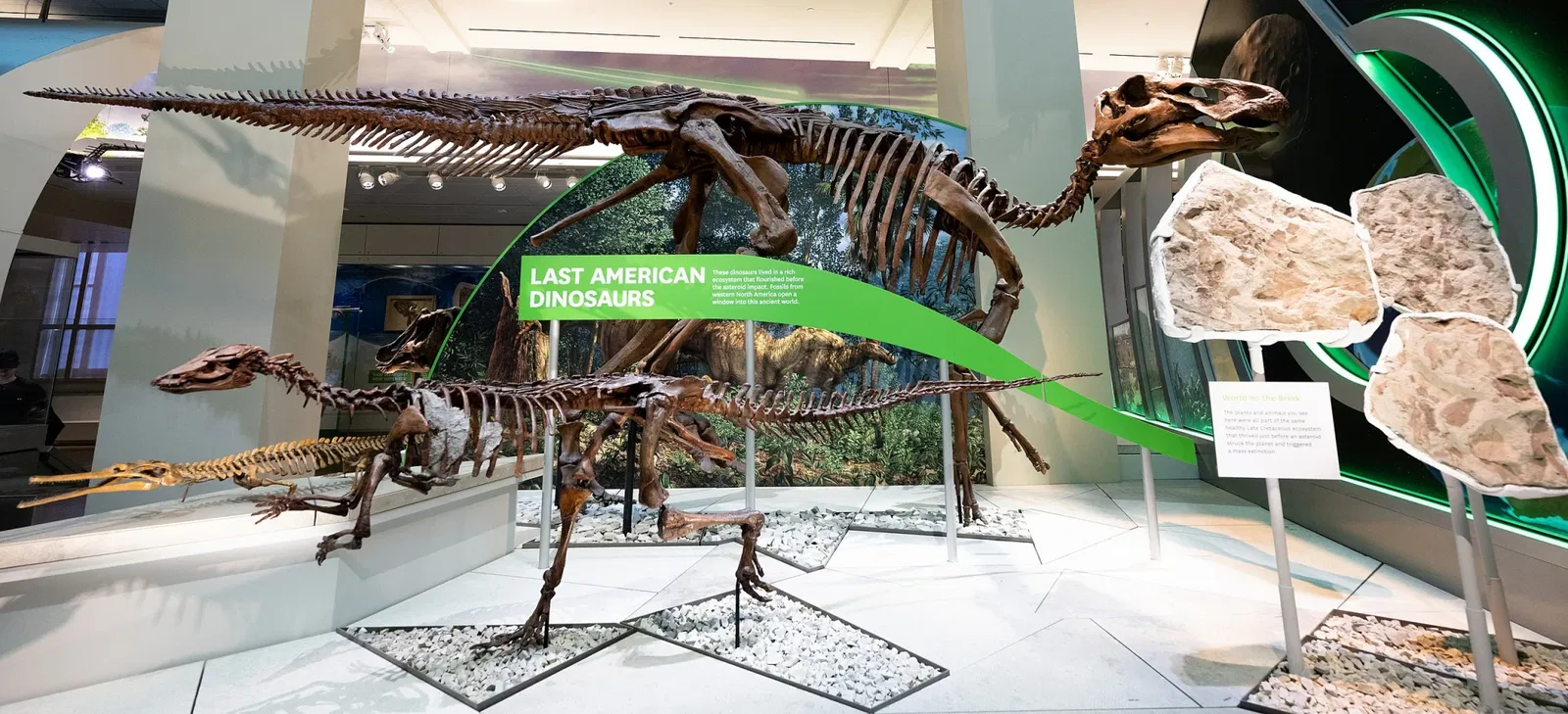 National Museum of Natural History