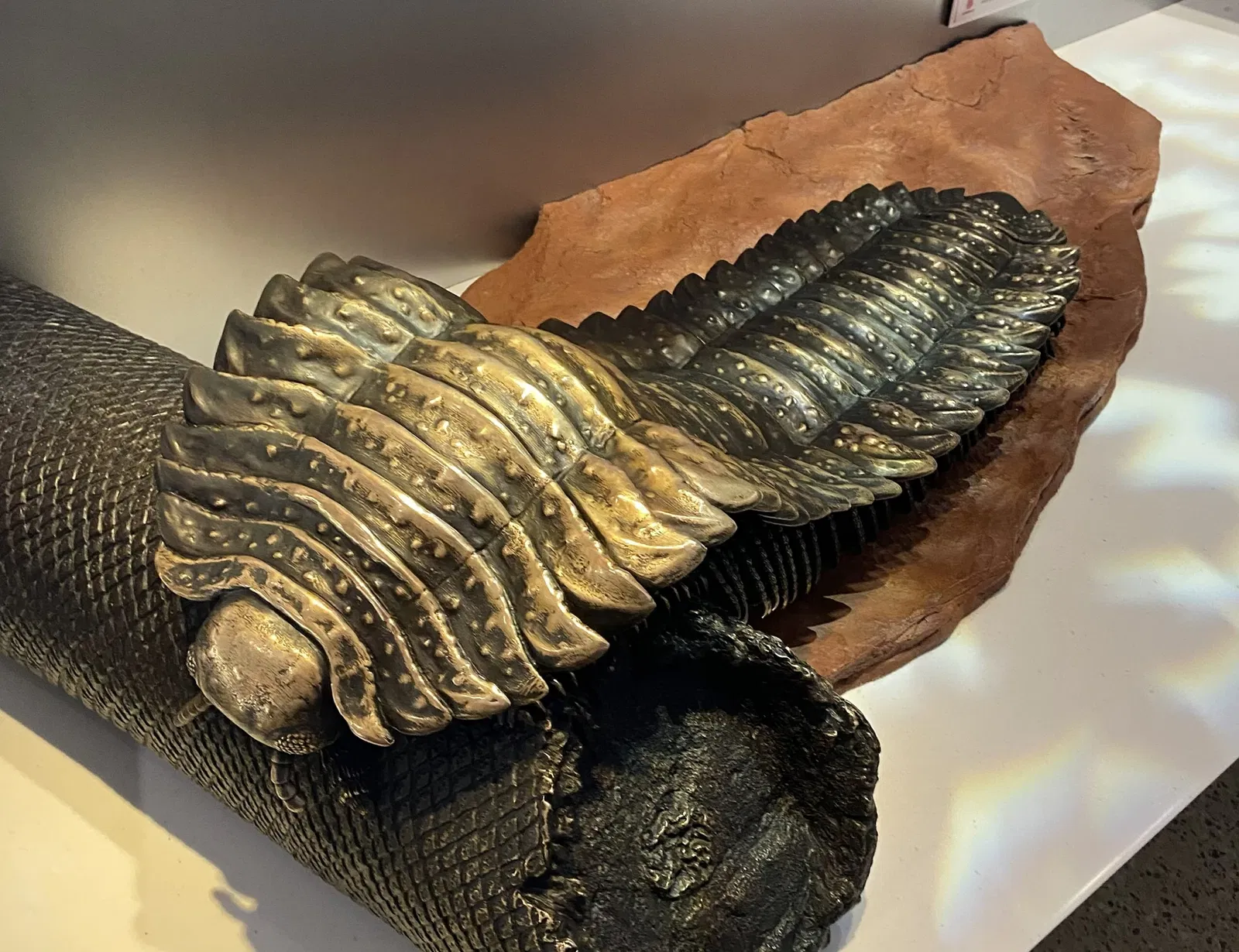 Museo Nacional de Historia Natural de los Estados Unidos